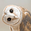 dhk.wiseowl