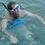 Luiz_Henrique