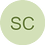 sueliton18